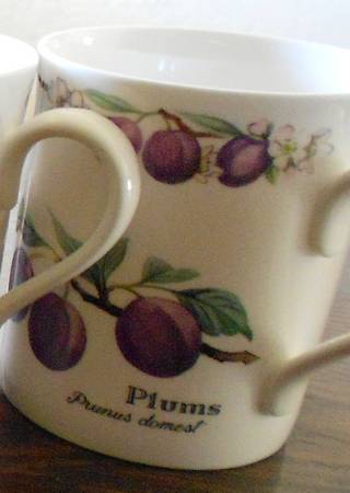 RW299 by Royal Worcester