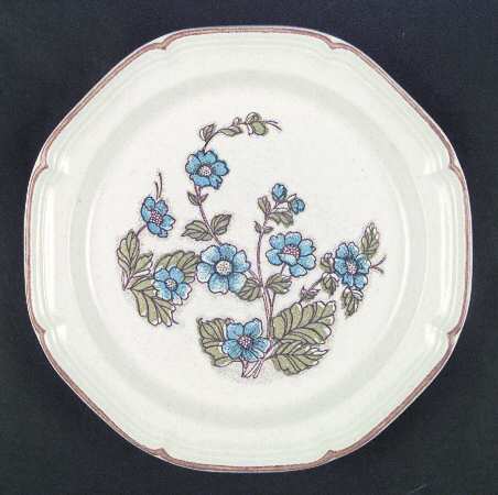 Floribunda by Shenandoah