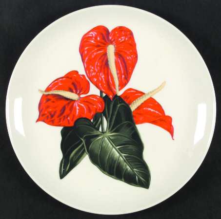 Red Anthurium by Santa Anita