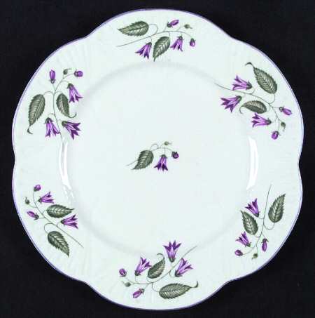 Campanula (Dainty) by Shelley