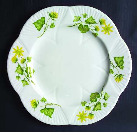 Celandine by Shelley