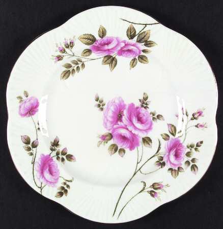Rambler Rose (Dainty) by Shelley