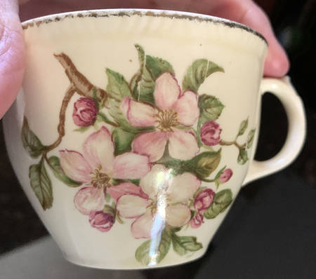 Blossomtime Red by Staffordshire
