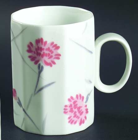 Pink Carnations by Studio Nova