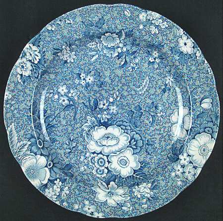 Primula by Spode