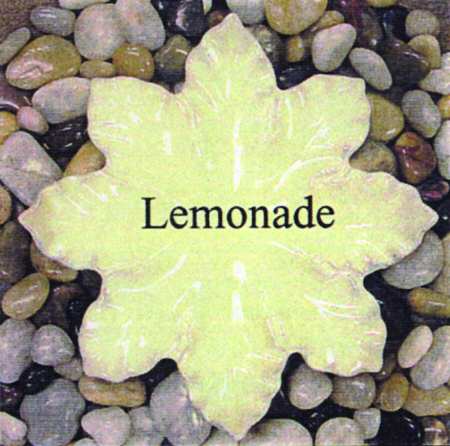 Leaves Lemonade by Skyros