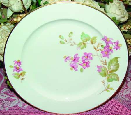 SCD91 by Schonwald