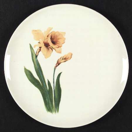 Jonquil by Universal