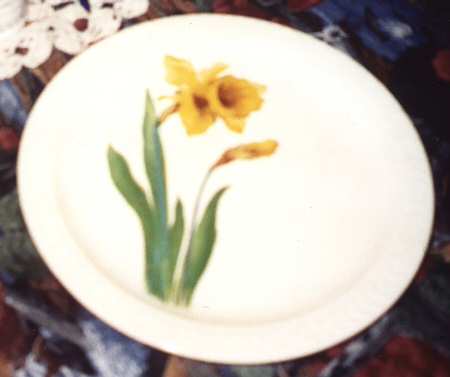 Daffodil by Universal