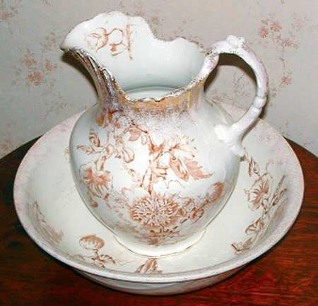 Convolvulus by Unknown Manufacturer