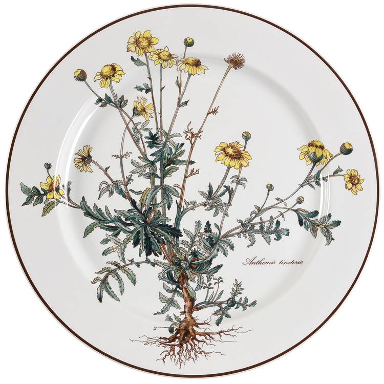 Botanica by Villeroy & Boch