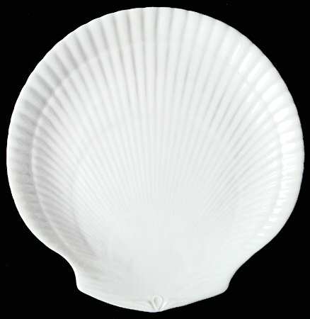 Nautilus Coral by Wedgwood