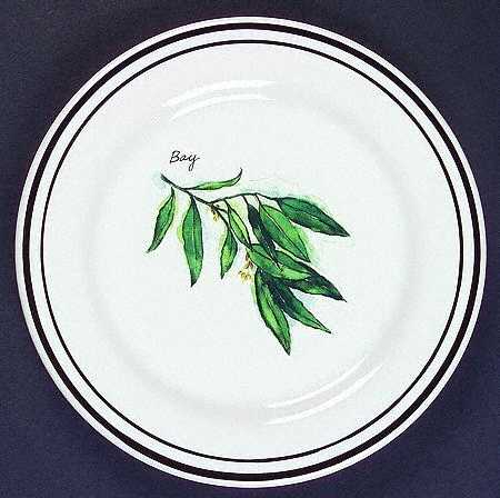 WSO24 by Williams-Sonoma