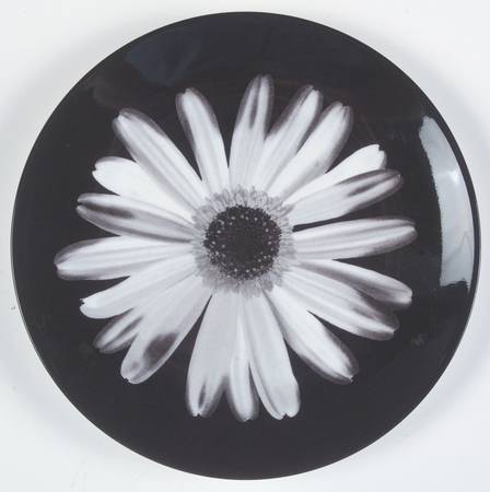 Bloomers Night and Day by Wedgwood