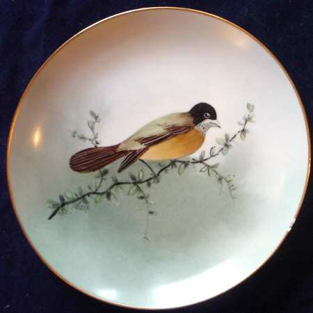 W5Ew5e1 by Welsley China