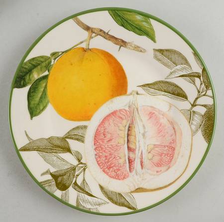 Botanical Citrus by Williams-Sonoma
