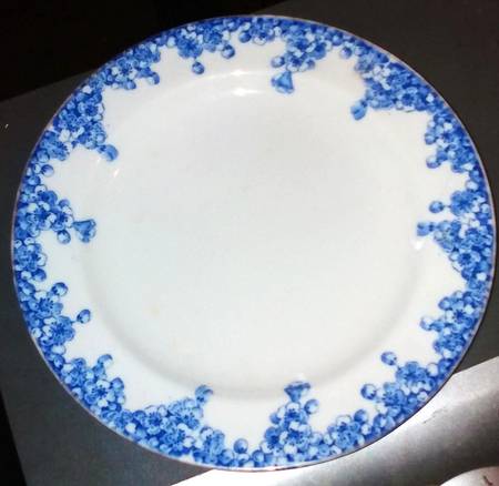 X3241 by Wedgwood