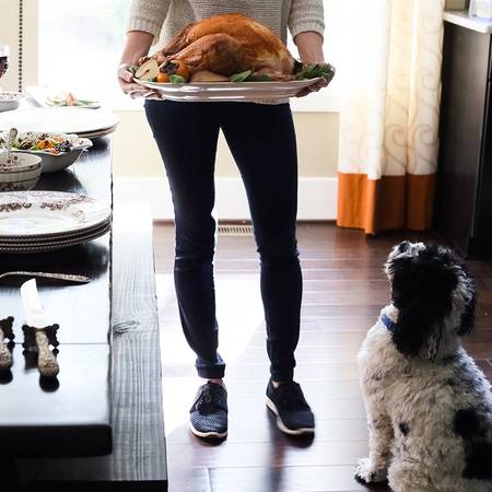 Turkey Platters by Johnson Brothers