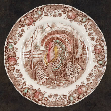 Vintage Turkey Designs by Johnson Brothers