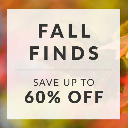 Fun Finds Up To 60% Off by Portmeirion