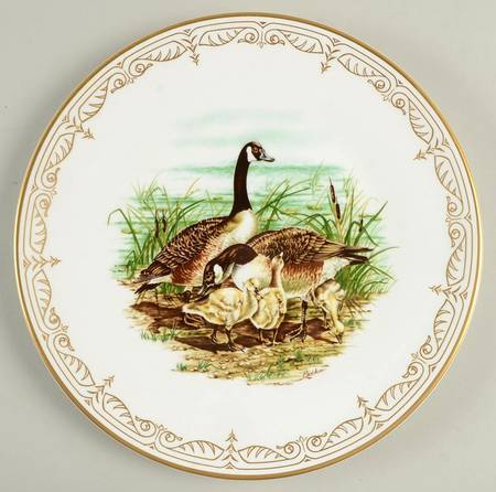 Water Birds of North America by Boehm