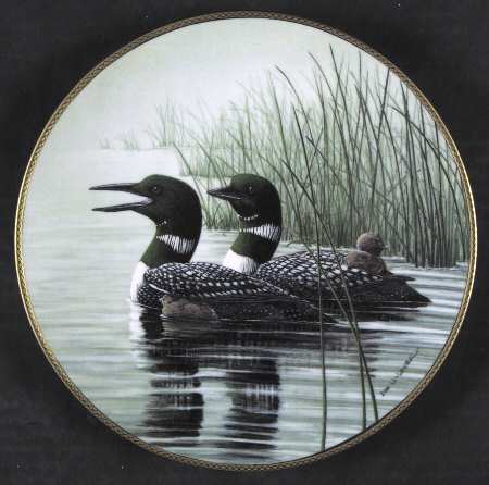 Loon:Voice of North by Dominion
