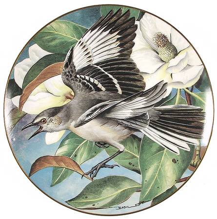 Garden Birds of The World by Franklin Mint