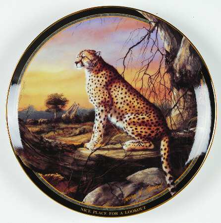 Cheetahs of Africa by Islandia