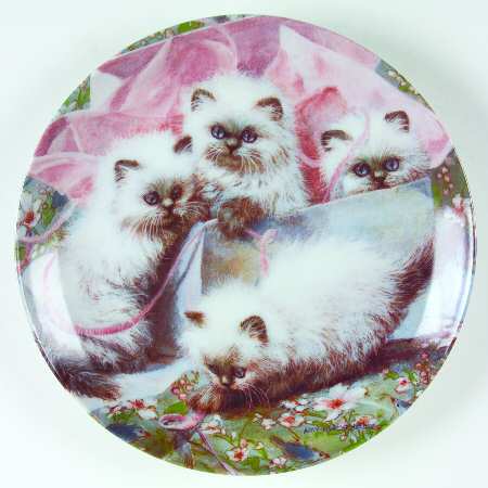 Cat Tales by Edwin Knowles