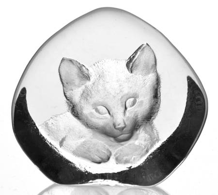 Cats by Mats Jonasson