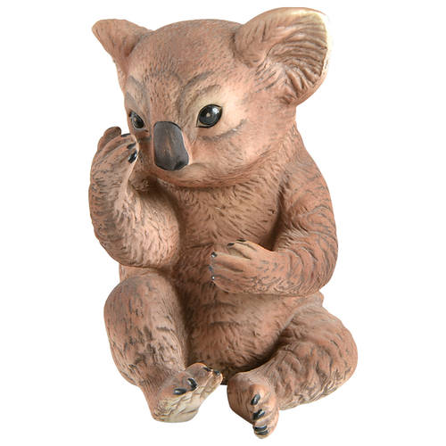 Baby Animals Collection by River Shore