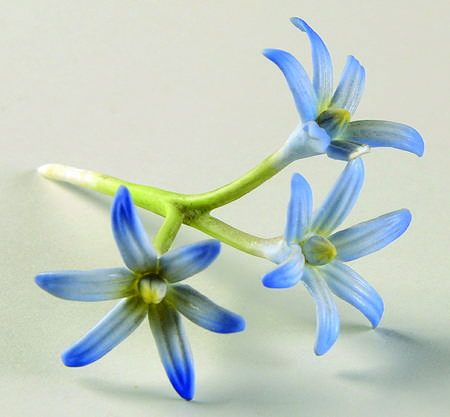 Flower Arrangements by Royal Worcester