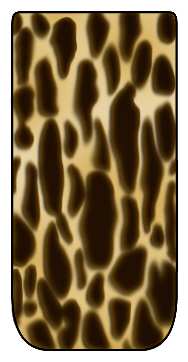 Tortoise by Impulse