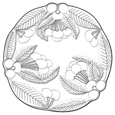 Bountiful (Clear Design) by Mikasa