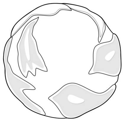 Flair (Giftware) by Mikasa