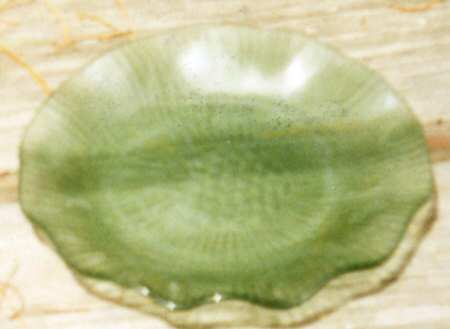 Ruffled Lotus Green by Mikasa