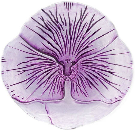Pansy by Red Pomegranate