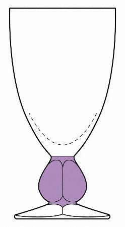 Conte Pale Amethyst by Schott-Zwiesel