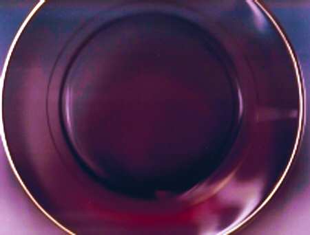 Formal Classics Gold Ruby by Viking