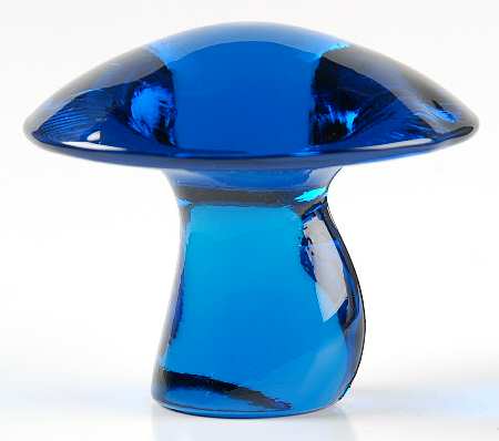 Mushrooms Blue by Viking