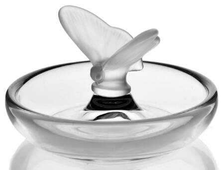 Butterfly by Vannes Le Chatel
