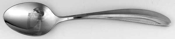 Paragon (Stainless) by Cambridge Silver