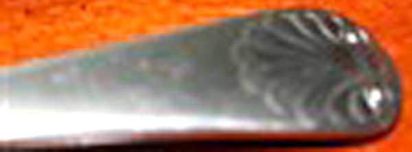 Old English Shell(Stainless, Satin by Cooper Bros & Sons