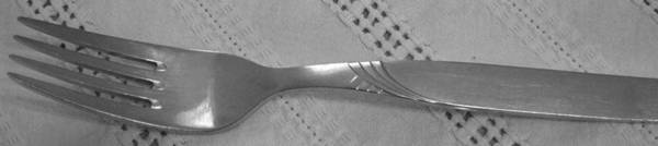 C2E5 (Stainless) by Carl Eickhorn