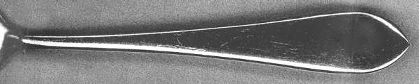 Antique Point (Stainless) by Eddie Bauer