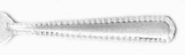 Oakbrook (Stainless) by Farberware