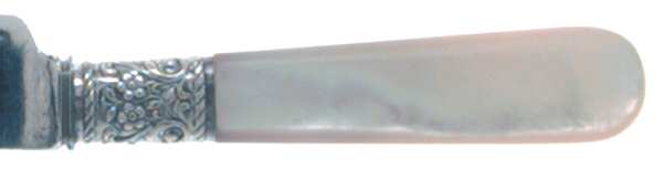 Pearl Handle Flatware 1 (Sterling) by G W Russell