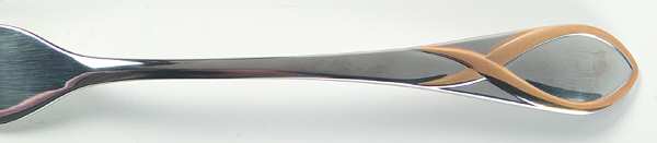 Darien Gold (Stainless, Gold Accent) by Gorham Silver