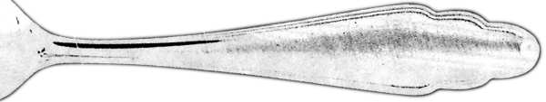 Lunch (Stainless) by Hardanger