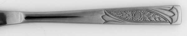 INX1 (STAINLESS) by Inoxpran